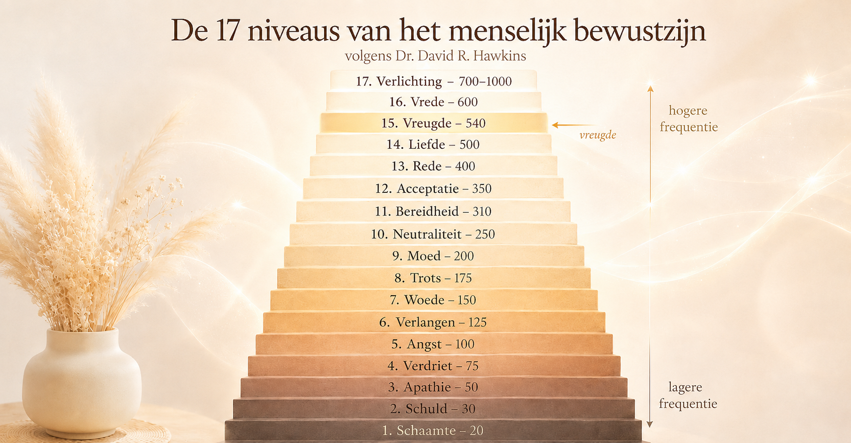Infografiek van de 17 niveaus van het menselijk bewustzijn volgens Dr. David R. Hawkins, weergegeven als een trap van schaamte naar verlichting, met een subtiele aanduiding van vreugde.